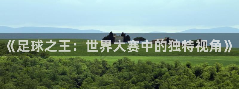 足球世预赛：《足球之王：世界大赛中的独特视角》