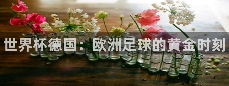 世界杯第一场比赛：世界杯德国：欧洲足球的黄金时刻