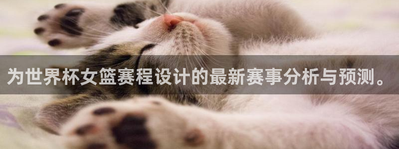 免费足球比赛直播高清：为世界杯女篮赛程设计的最新赛事分析与预测。