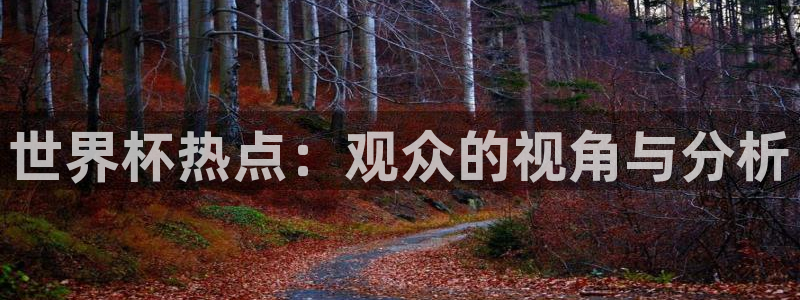 女足世界杯赛程：世界杯热点：观众的视角与分析