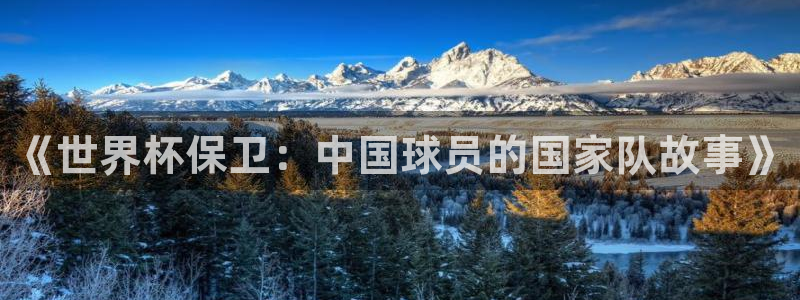 女足世界杯赛程：《世界杯保卫：中国球员的国家队故事》