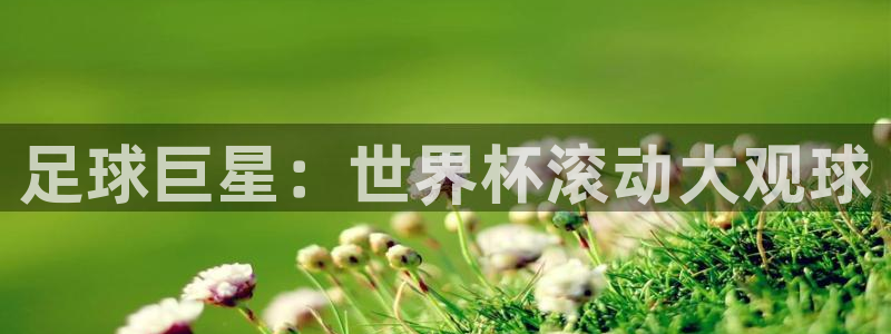 2026世界杯中国队：足球巨星：世界杯滚动大观球