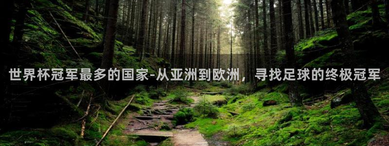 世界杯赛程表：世界杯冠军最多的国家-从亚洲到欧洲，寻找足球的终极冠军
