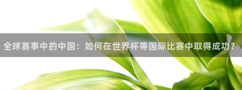 美国世界杯：全球赛事中的中国：如何在世界杯等国际比赛中取得成功？