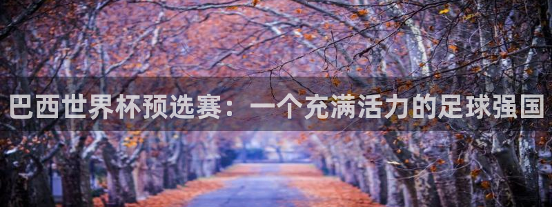 世界杯预选赛亚洲：巴西世界杯预选赛：一个充满活力的足球强国