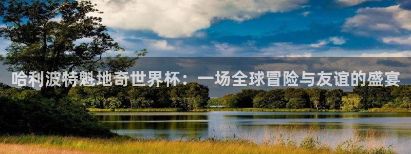 世界杯2026赛程时间表格：哈利波特魁地奇世界杯：一场全球冒险与友谊的盛宴
