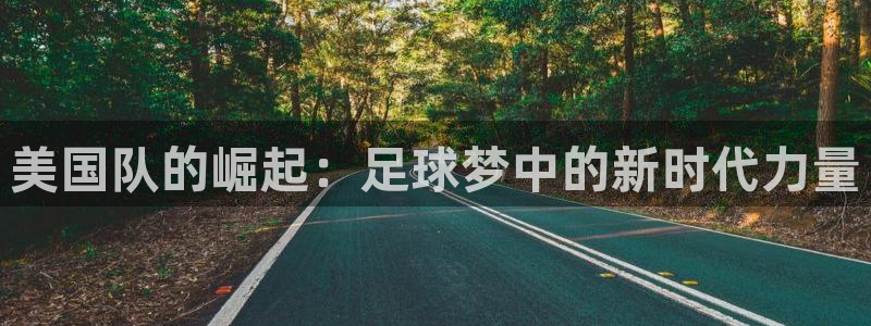 世界杯决赛直播：美国队的崛起：足球梦中的新时代力量