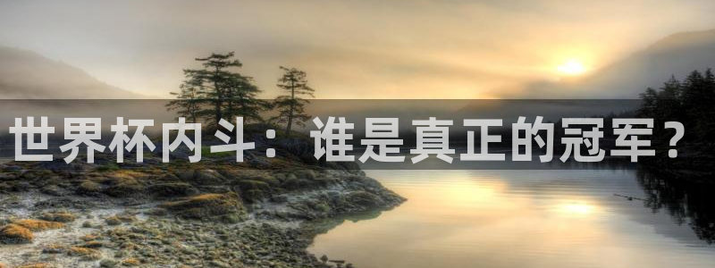 世界杯足球赛：世界杯内斗：谁是真正的冠军？